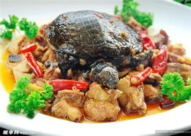 贵州八宝甲鱼